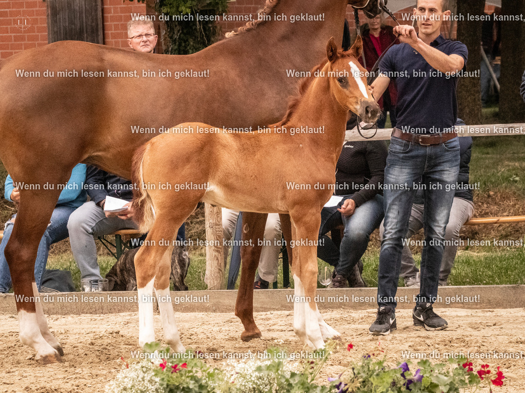 A10I0770 | photographylinaismer - Realisiert mit Pictrs.com