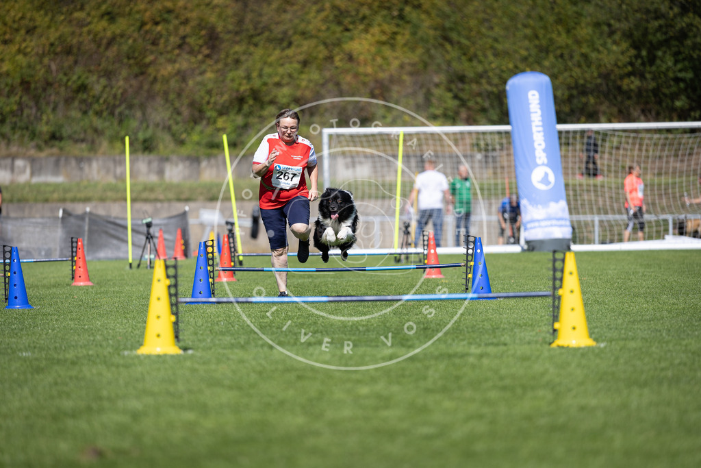 Pfotenfotografie_DV3A6711 | Hundefotografie, Tierfotograf, Pfotenfotografie, Fotoshooting Hund, Hunde Portrait, Hundesport, Hundeportraits, Heideshooting, Hunde, Sportfotograf, Hundefotograf, Turnierhundsport, THS,  - Realisiert mit Pictrs.com