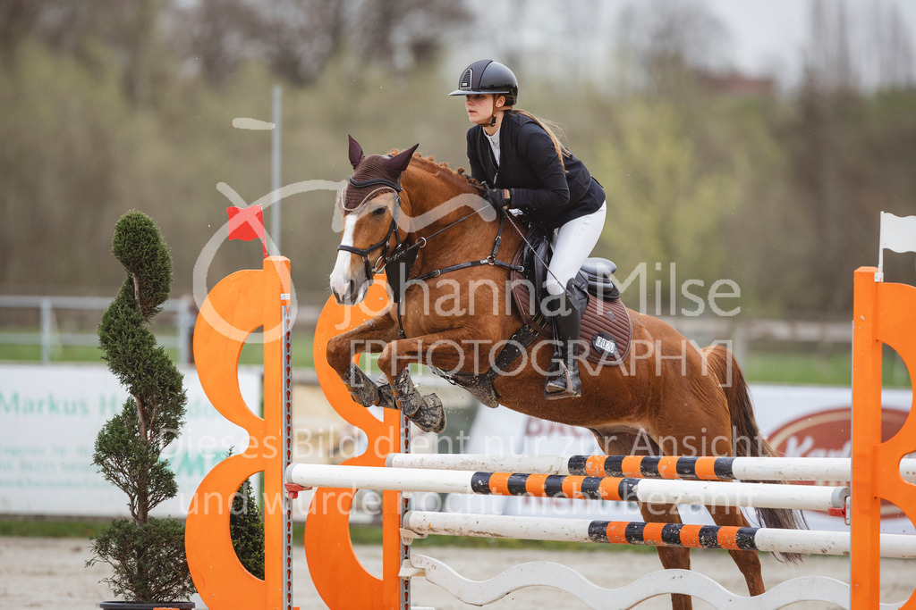 240330_Fruehlingsfest_Stil-A2-2-707 | Deine schönsten Turniermomente als professionelle Fotos! Entdecke hochwertige Pferdesport-Fotografie im Online-Shop. Jetzt Fotos finden & bestellen!