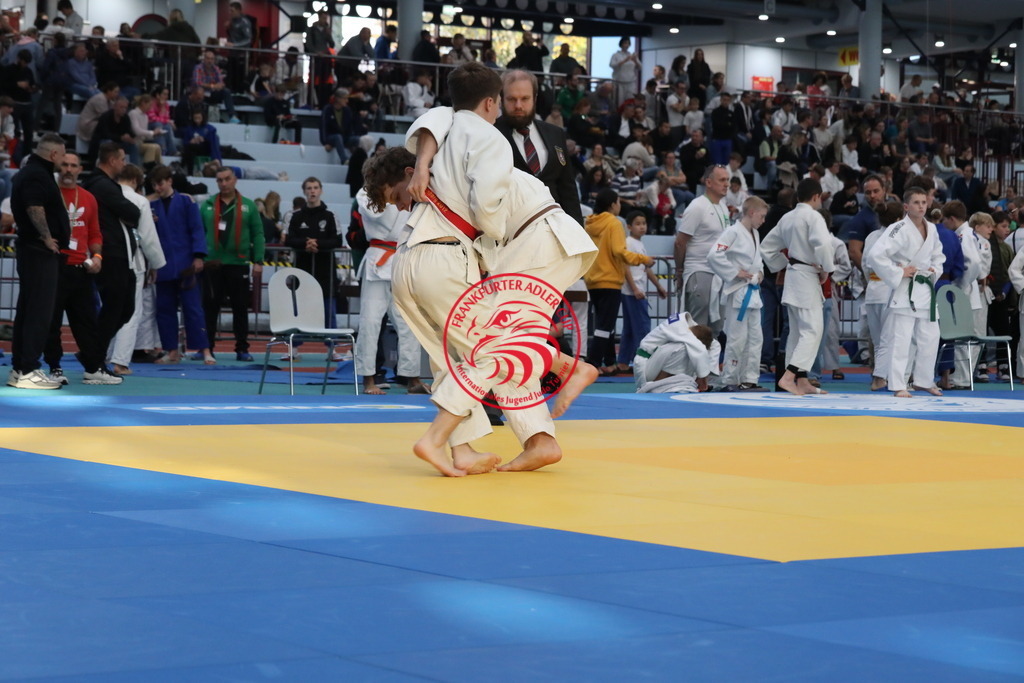 1J7A2333 | Fotos vom Adler Cup - Pictures from Adler Cup

Hier findet Ihr alle Eindrücke und großen Momente der Adler Cup Wochenenden. Here you will find all impressions and great moments of the Adler Cup weekends. - Realisiert mit Pictrs.com