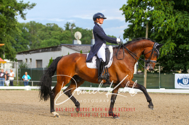 DKP41559 | Turniersportfotografie; Pferdefotografie; Dressurfotografie