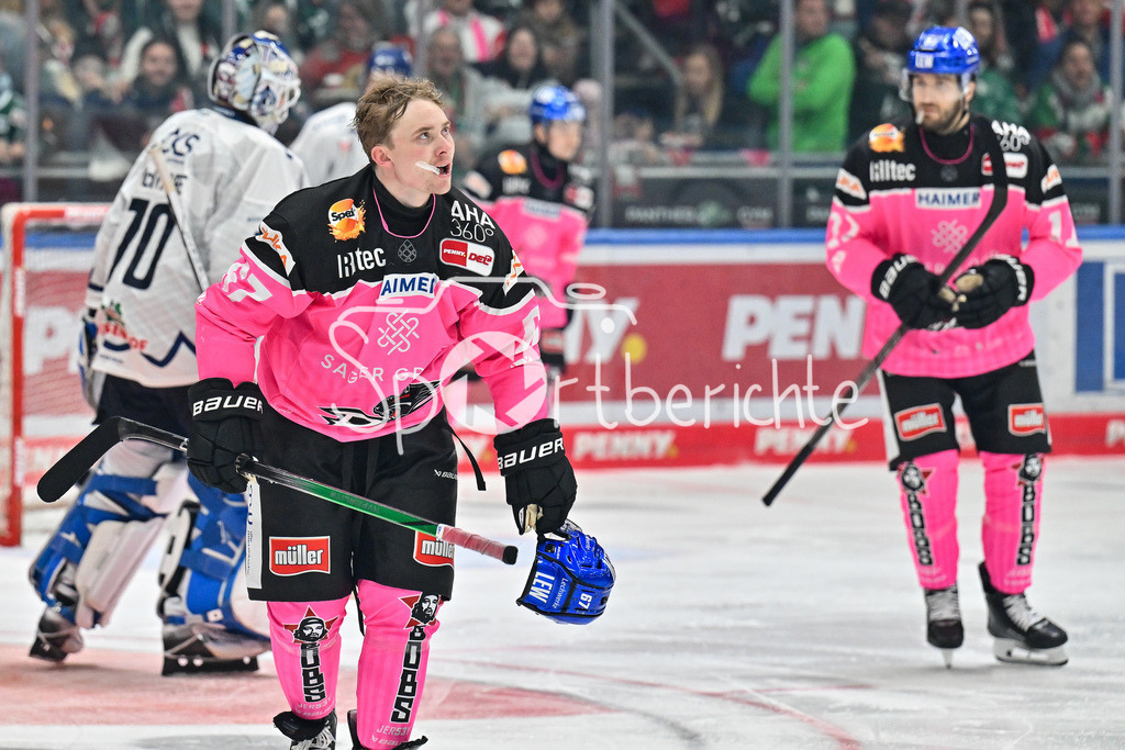 Augsburger Panther - Straubing Tigers | nach einen FIght faehrt Florian ELIAS (Augsburger Panther #67) gezeichnet zur Bank / Kampf / Faustkampf / DEL: Augsburger Panther - Straubing Tigers, Curt Frenzel Stadiom am 20.10.2024