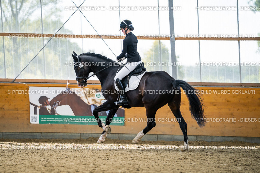 DSC05907 | Pferdegrafie