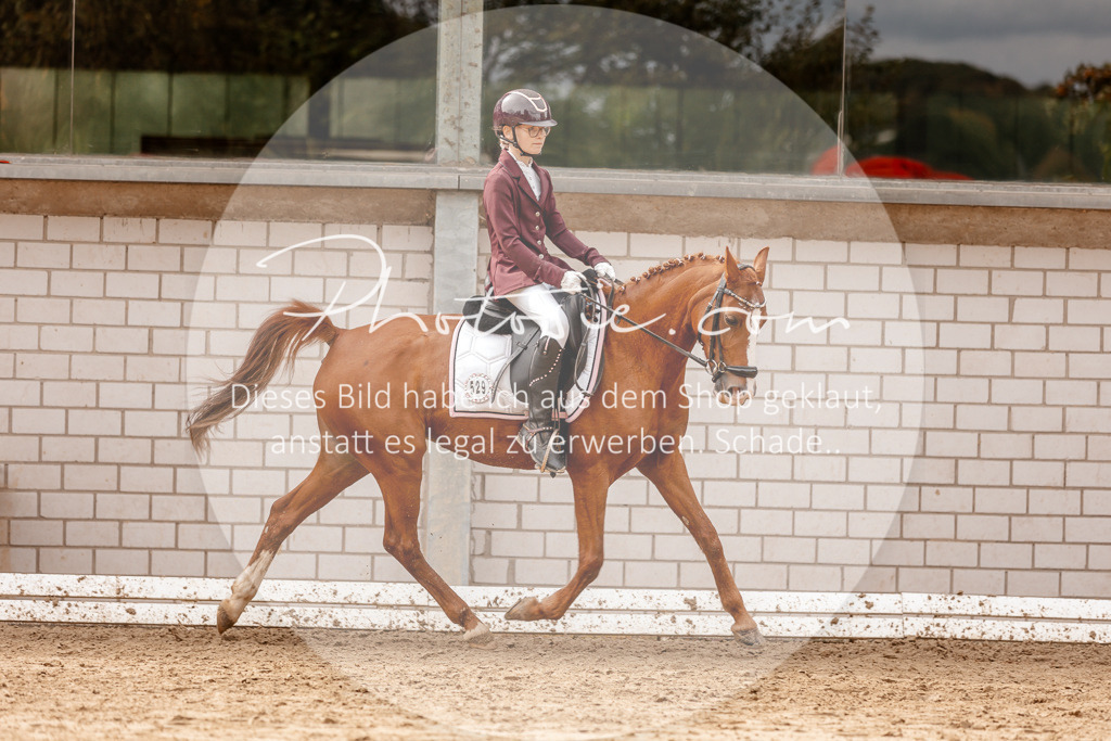3I6A7479 | Stimmungsvolle Portraits und Reitsportfotografie im Ruhrgebiet und im Münsterland.

Pferdefotografie, Hundefotografie, Tierfotografie, Reportagen, Portraits von Tier und Mensch, Turnierfotografie in Bochum, Recklinghausen, Marl, Haltern am See, Dülmen.. - Realisiert mit Pictrs.com