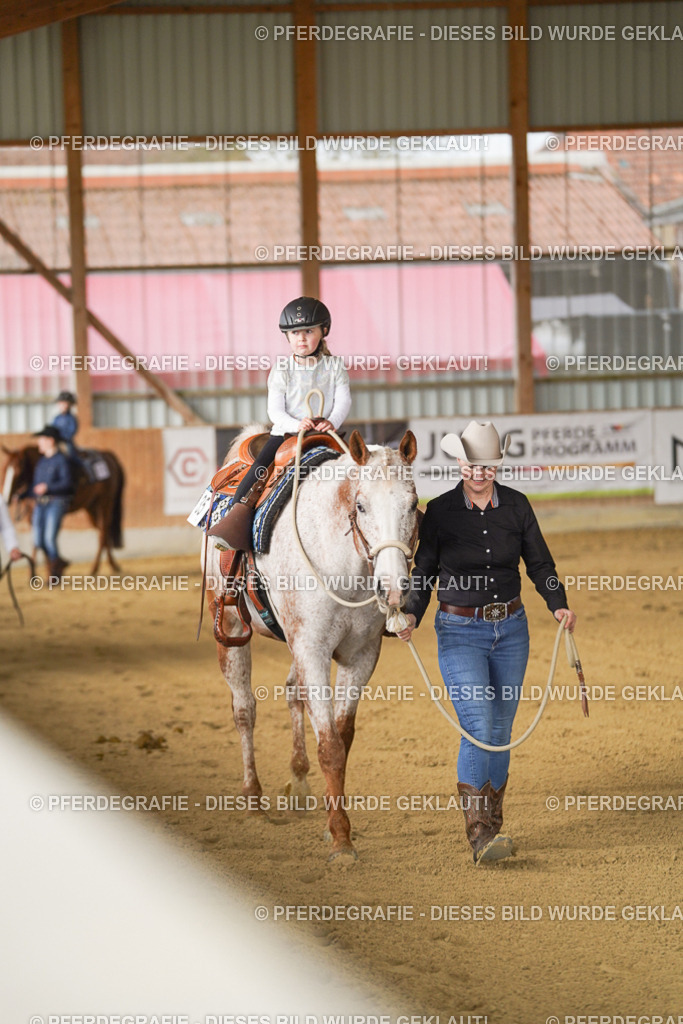 DSC00579 | Pferdegrafie