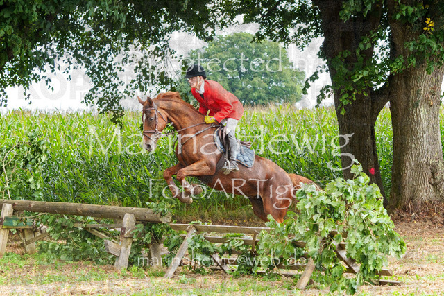 Jagd Perdoel_MarinaHewigMCH04901 | Fotografie, FotoArt, PferdesportArt, Pferdesportfotografie, Landschaftsfotografie, Reisefotografie, Reise, Pferde - Realisiert mit Pictrs.com