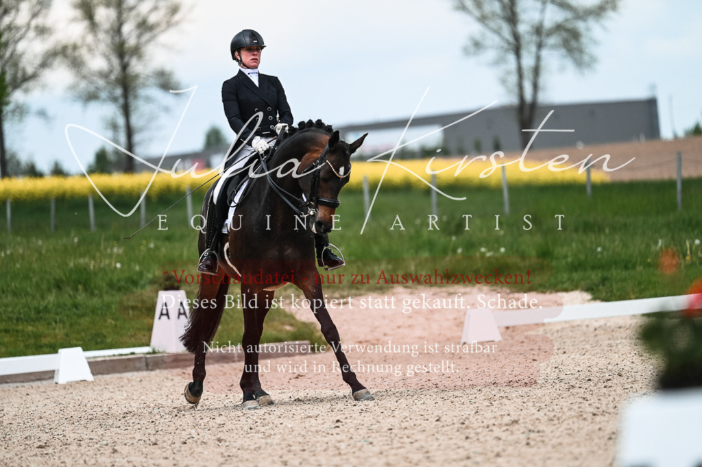 20230514_JK-Röhrsdorf-21-082 | Pferde- und Turnierfotografie in Westsachsen. Pferdeportraits, Auftragszeichnungen und intuitive Kunst.