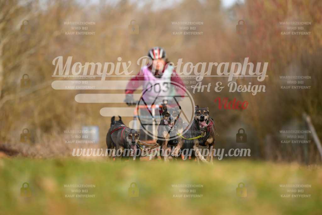 MompixPhotography_10Schwabentrail2026_SO_Kart-6 | PayLife