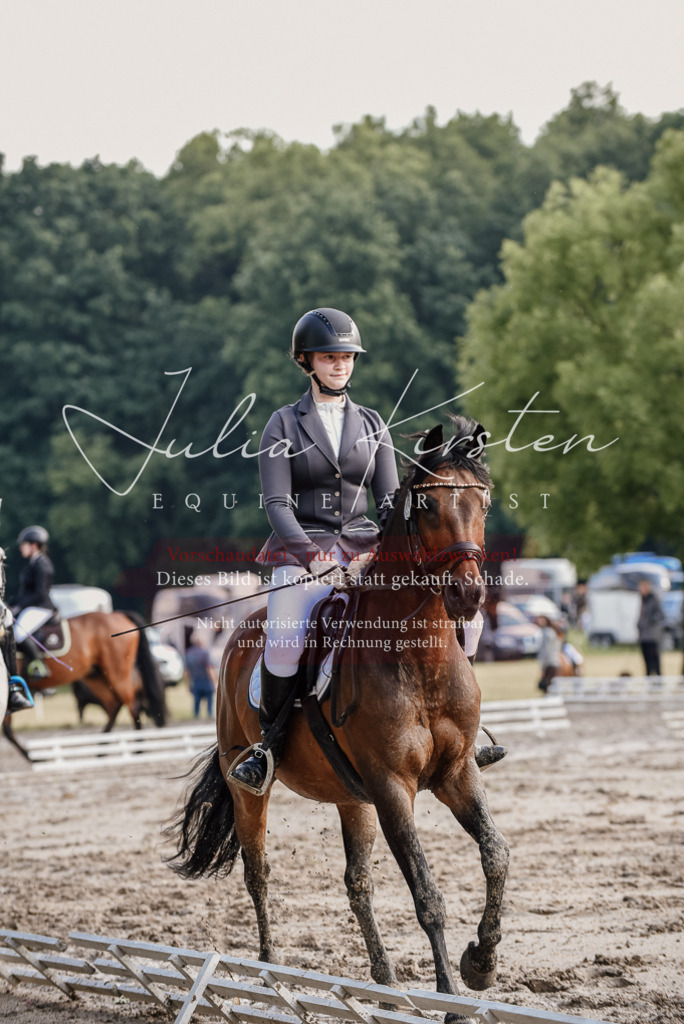 DSC_8383 | Pferde- und Turnierfotografie in Westsachsen. Pferdeportraits, Auftragszeichnungen und intuitive Kunst.