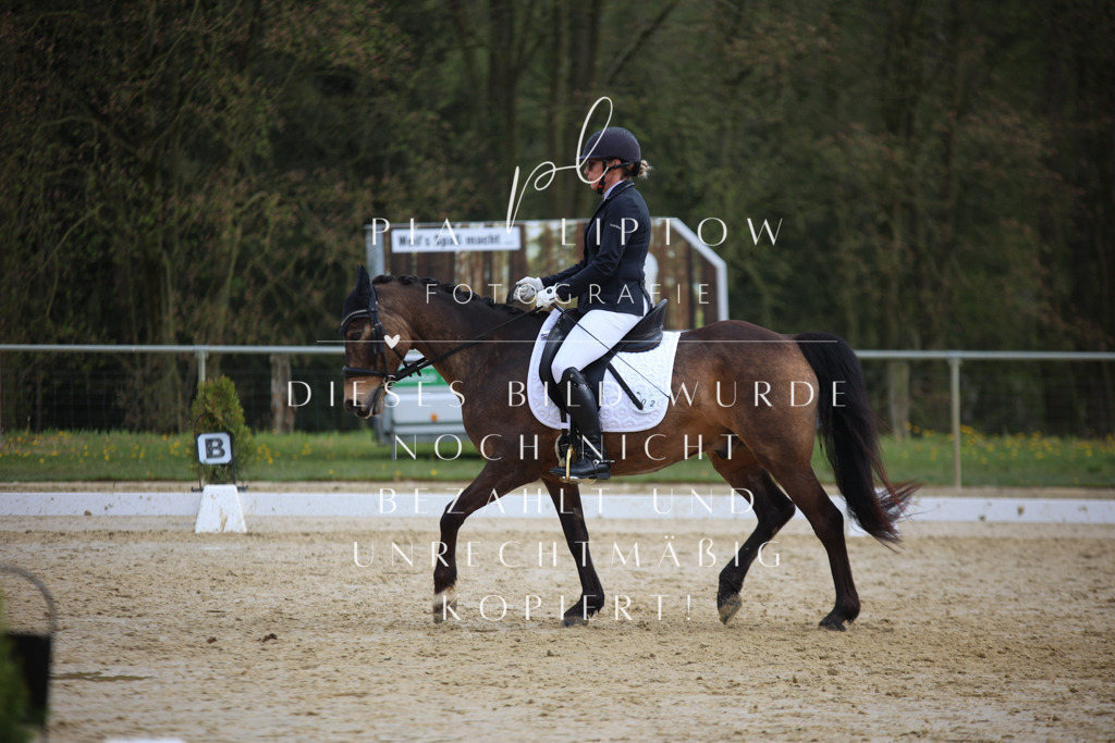 IMGT5699 | pl-fotografie