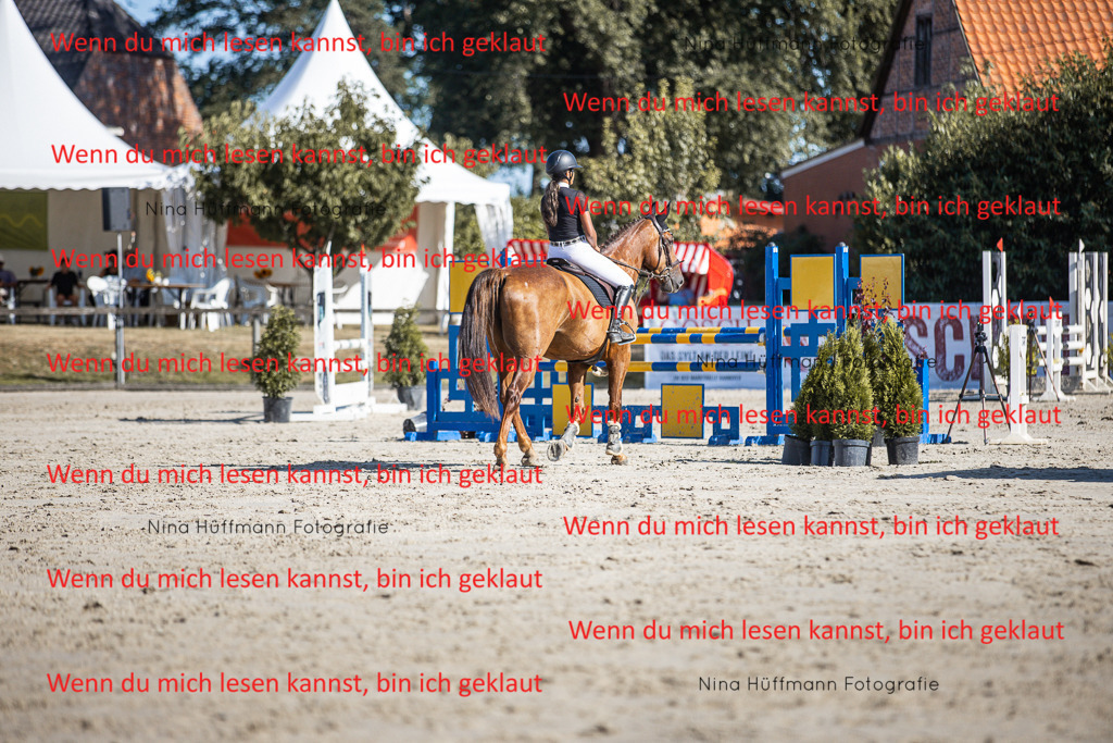 BK1A7316 | Turnierbilder Turnierfotos Nina Hüffmann Turnierfotografie Pferdefotografie Tierzeichnung Haustierzeichnung Pferdezeichnung Hundezeichnung Videograf  - Realisiert mit Pictrs.com