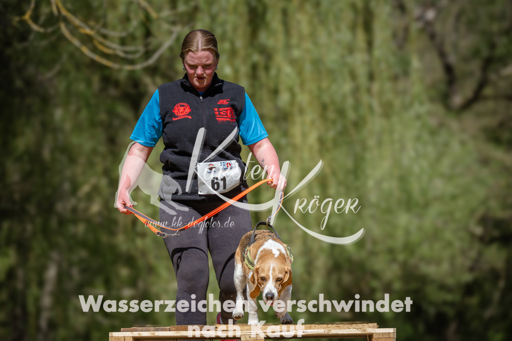 1245_ZZ94460 | kk-dogfotos