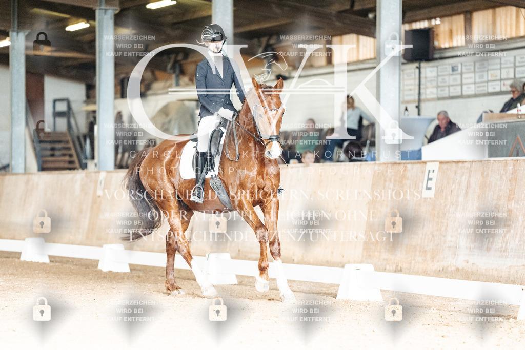 CK902433 | Turnierfotografie Pferdefotografie Trier Rheinland-Pfalz Pferdesport Reitsport Tierfotografie Sportfotografie Pferdevideo Pferdevideografie Equestrianvideography equestrianphotography  - Realisiert mit Pictrs.com