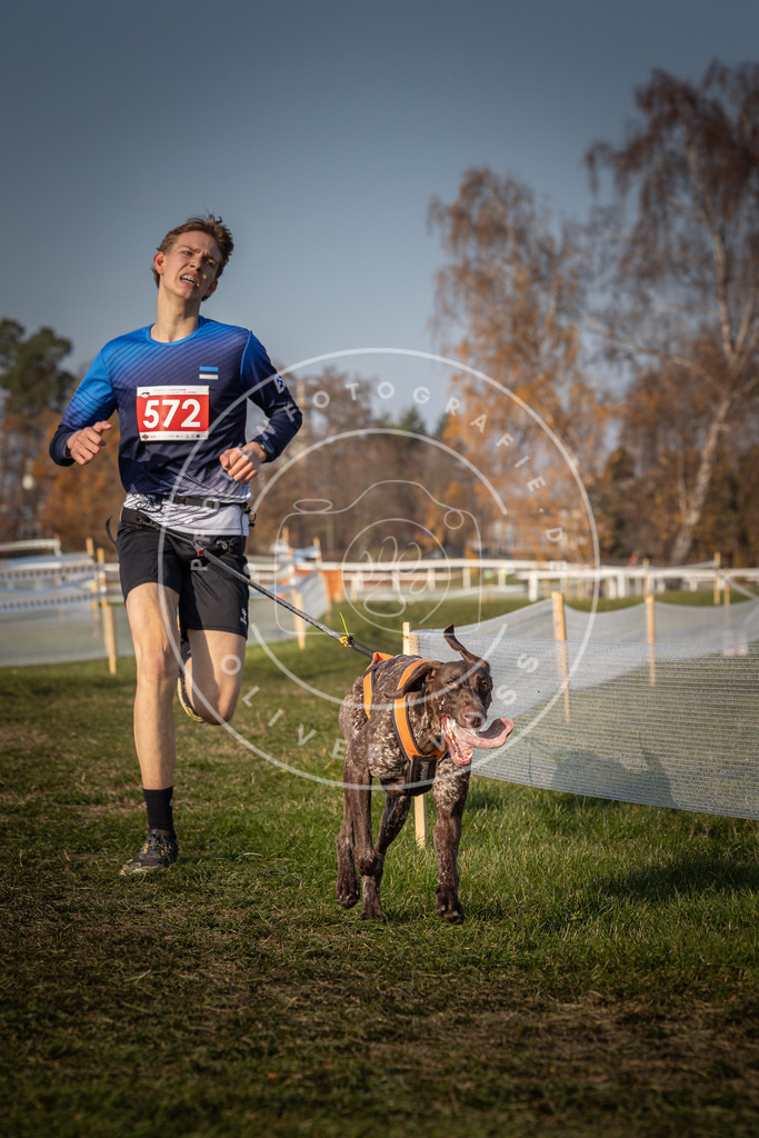 CaniXpix_0L8A9585 | Hundefotografie, Tierfotograf, Pfotenfotografie, Fotoshooting Hund, Hunde Portrait, Hundesport, Hundeportraits, Heideshooting, Hunde, Sportfotograf, Hundefotograf, Turnierhundsport, THS,  - Realisiert mit Pictrs.com