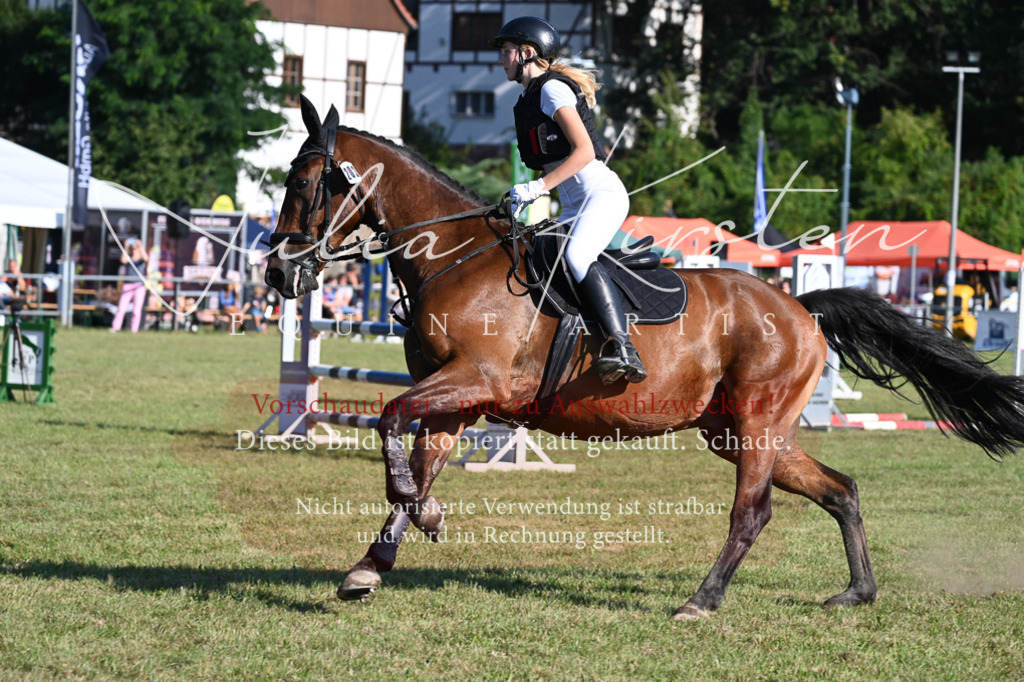 DSC_5155 | Pferde- und Turnierfotografie in Westsachsen. Pferdeportraits, Auftragszeichnungen und intuitive Kunst.