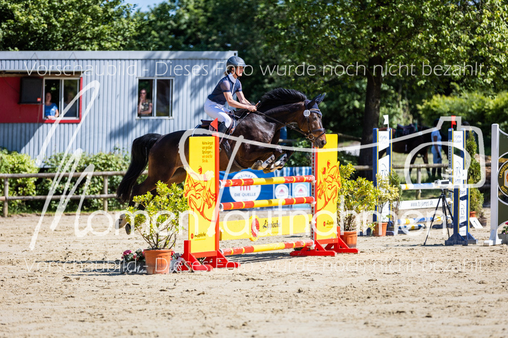 Donop24-M-Spr-084 | MomenTaufnahmen Pferdesportfotos