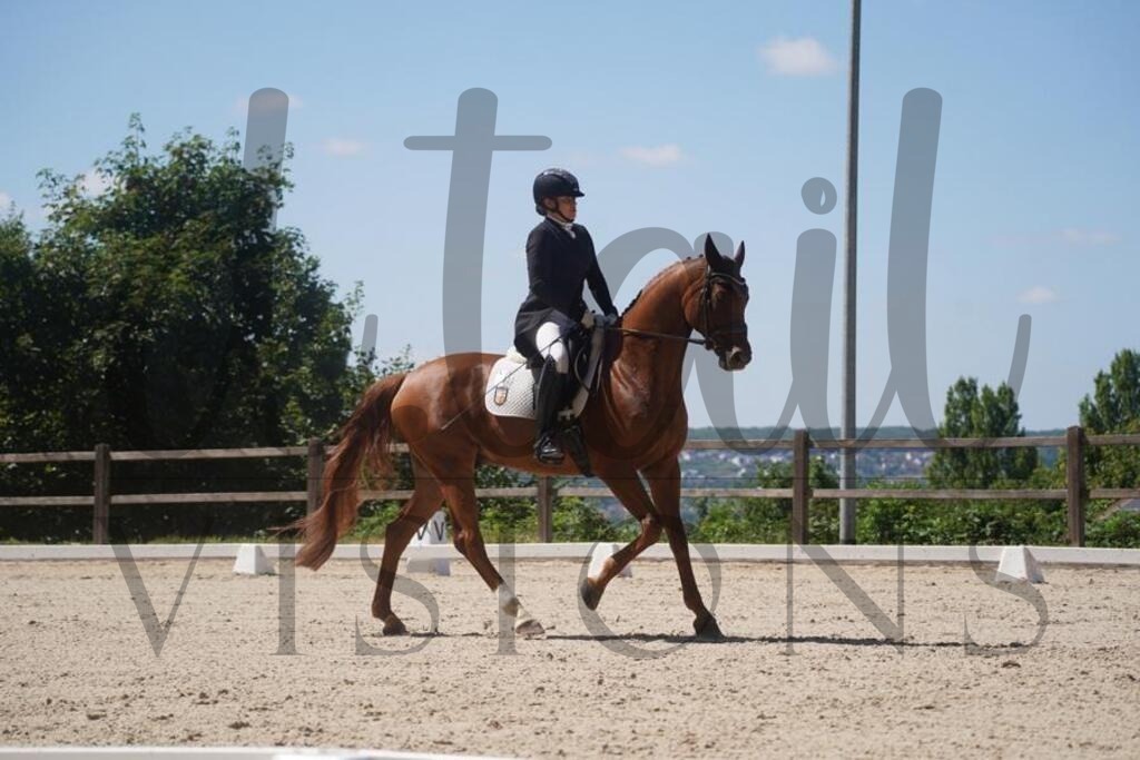 tgbhsonntag (1095) | d.tail Visions - Shop - Realisiert mit Pictrs.com