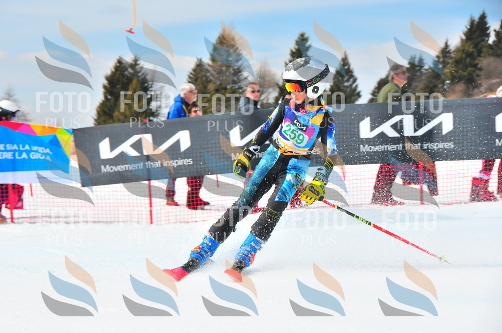 DSC_2417 | holidayphoto