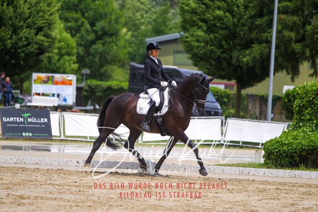 DKP40667 | Turniersportfotografie; Pferdefotografie; Dressurfotografie