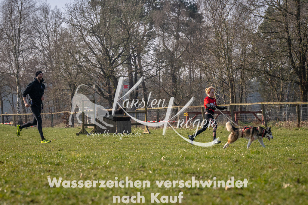 _ZZ93252 | kk-dogfotos