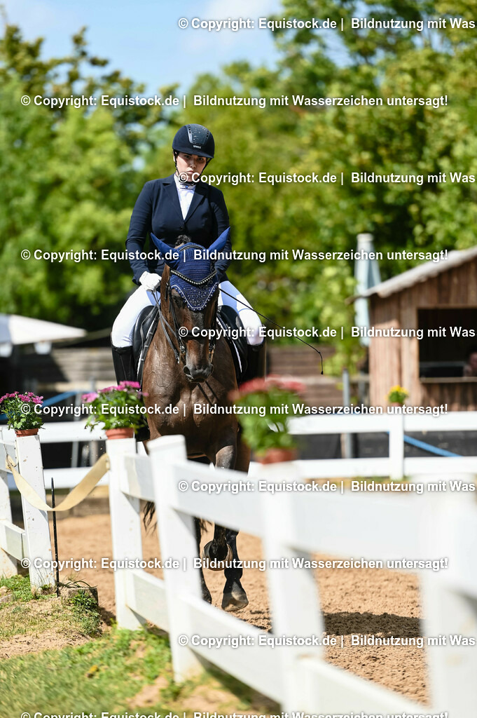 20230716_01_Dressurprüfung Kl.M_0292 | equistock