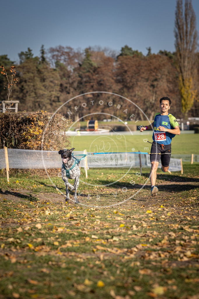 CaniXpix_DV3A0046 | Hundefotografie, Tierfotograf, Pfotenfotografie, Fotoshooting Hund, Hunde Portrait, Hundesport, Hundeportraits, Heideshooting, Hunde, Sportfotograf, Hundefotograf, Turnierhundsport, THS,  - Realisiert mit Pictrs.com