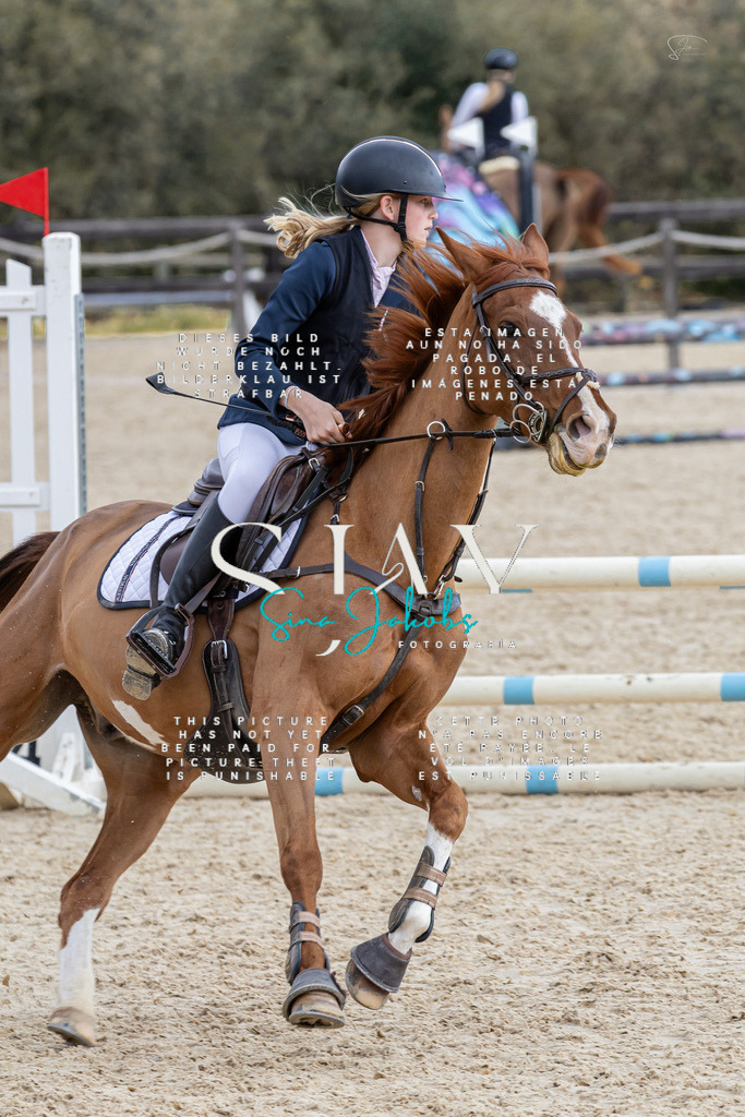 IMG_4695 | s-jay-photography - Realisiert mit Pictrs.com