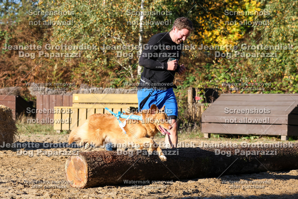 Dog Paparazzi - Strongdog 10-25-1425 | Dog Paparazzi Jeanette Grottendiek Fotografie & Videografie - Realisiert mit Pictrs.com