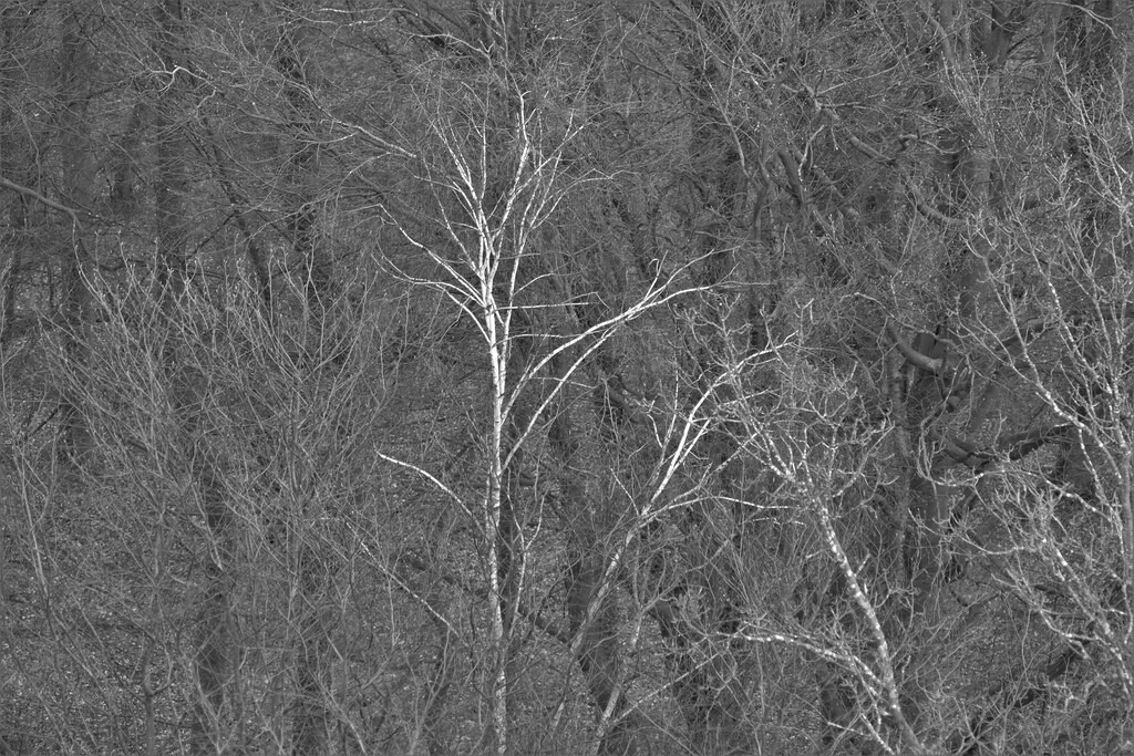 P1690550_b | Annaeherungen - Realisiert mit Pictrs.com