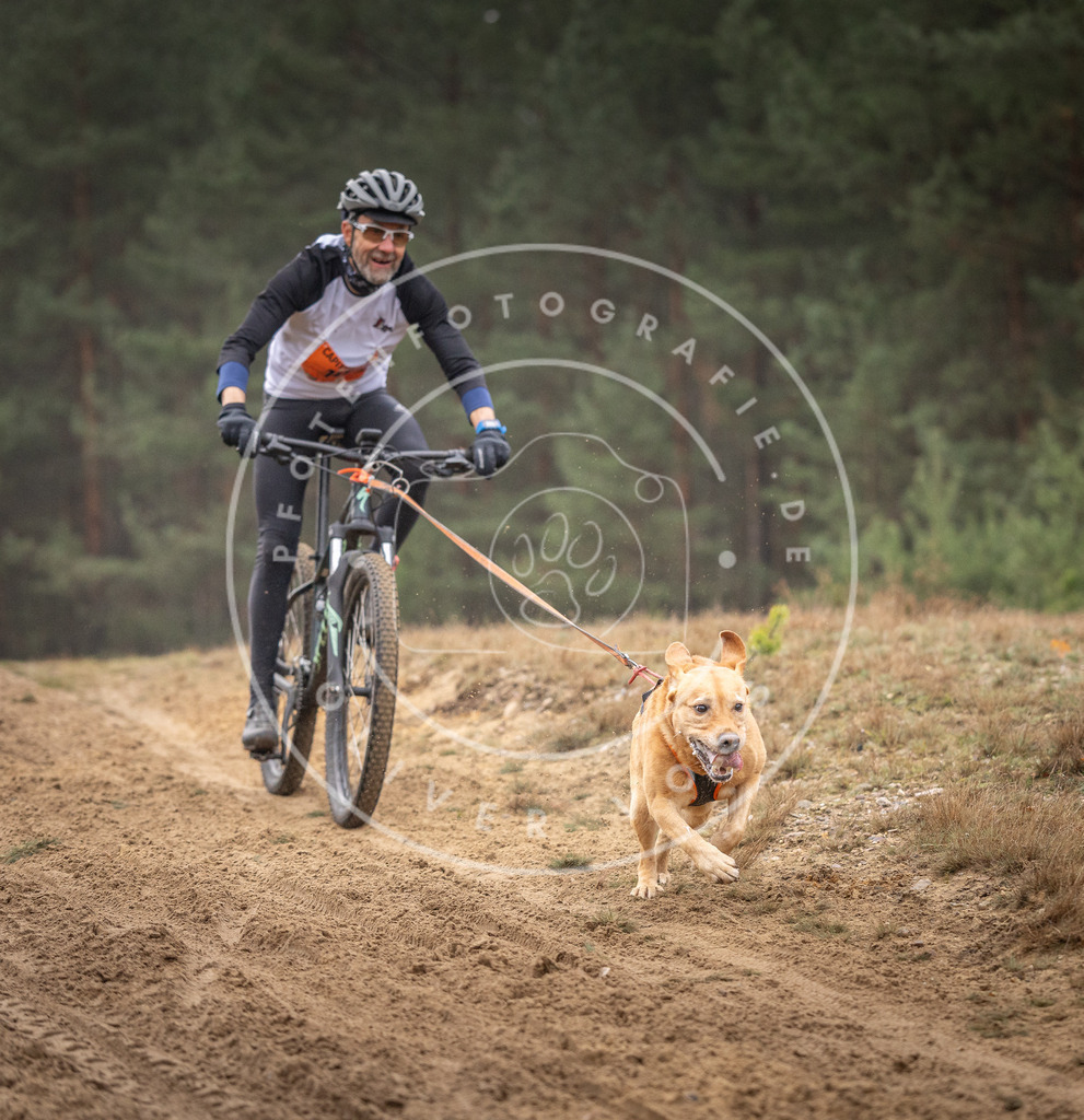 Pfotenfotografie_DV3A3987 | Hundefotografie, Tierfotograf, Pfotenfotografie, Fotoshooting Hund, Hunde Portrait, Hundesport, Hundeportraits, Heideshooting, Hunde, Sportfotograf, Hundefotograf, Turnierhundsport, THS,  - Realisiert mit Pictrs.com