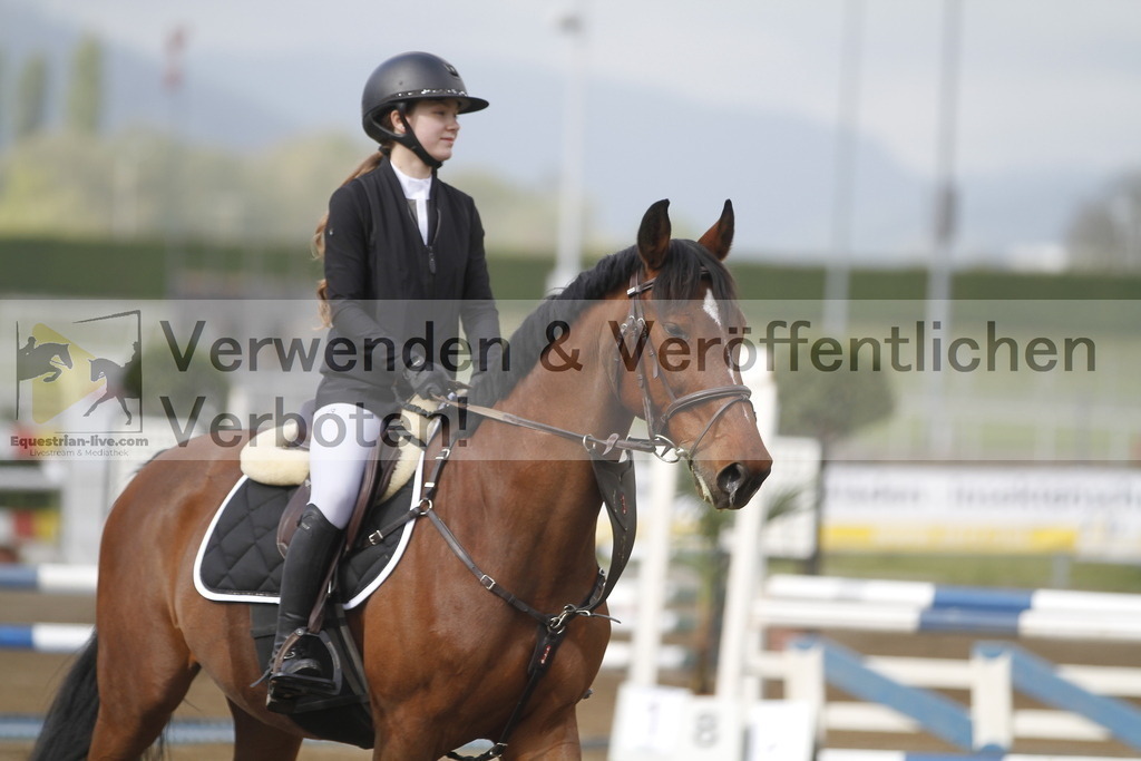 _MG_7214 | equestrian-live-com