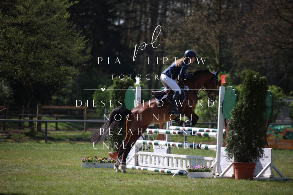 IMGT5639 | pl-fotografie