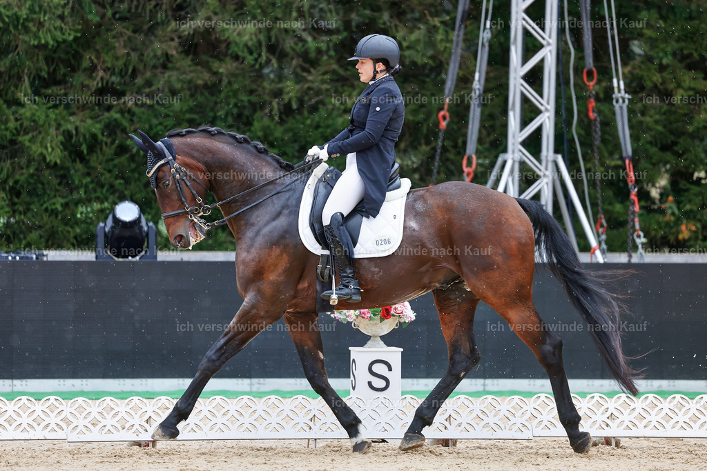 8_1-206-Klasse S_  -StoibPH-3914 | working equitationturnier fotograf videograf stoibphotography marixx film working equitation deutschland reitsport turnierfotografie eventfotografie equestrian events