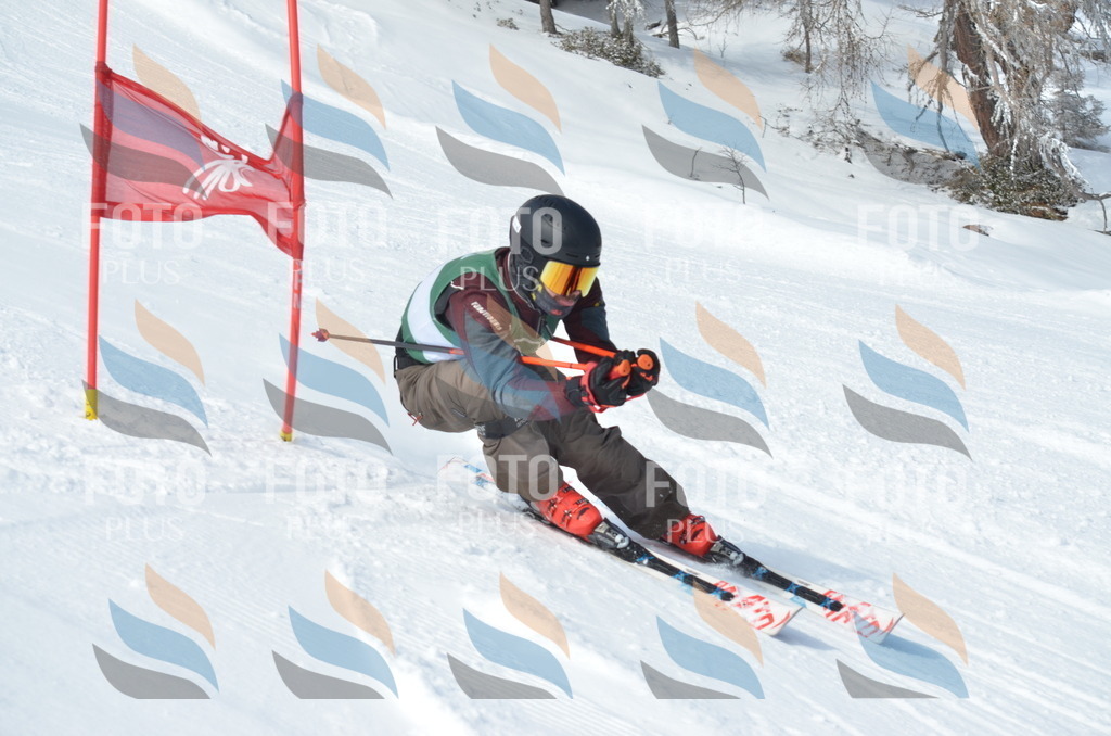 D9243 | holidayphoto