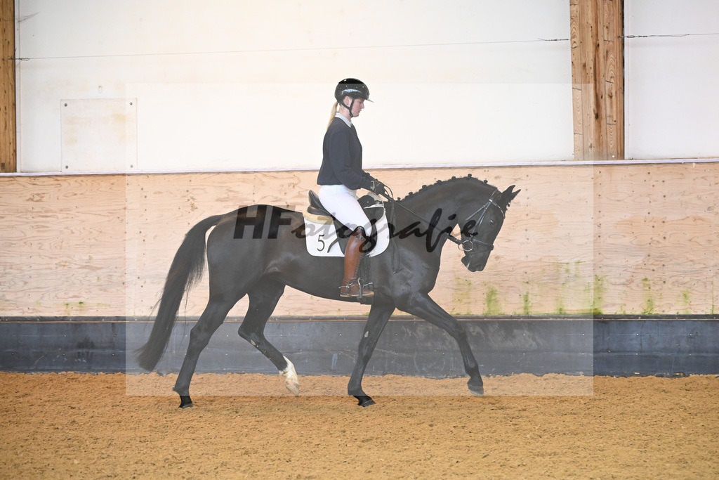Kat-Nr. 5 Corwina US_Stahl_6222037 | hf-fotografie - Realisiert mit Pictrs.com