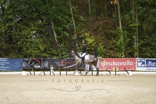 VAN01666 | Marie Giesen Fotografie - Realisiert mit Pictrs.com