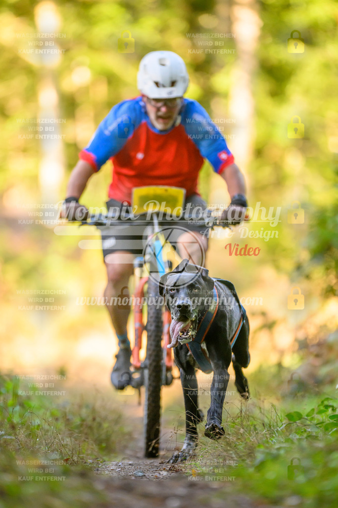 MompixPhotography_Yens2025_B3-174 | PayLife