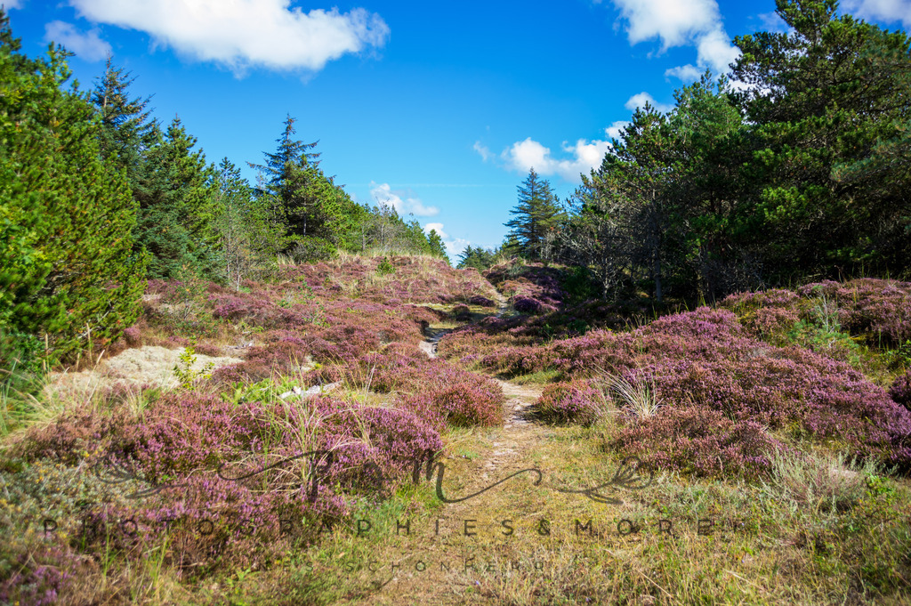 _Kandesterne22-1574 | Photographies and more - Realisiert mit Pictrs.com