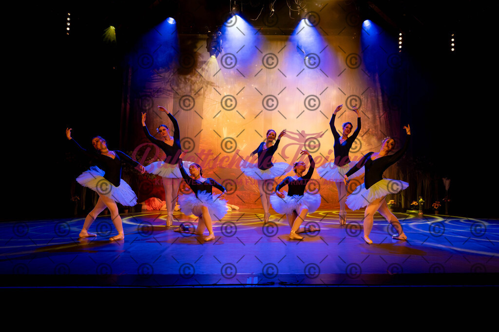 Ballettaufführung-584 | Bildershop Lem'n Entertainment - Realisiert mit Pictrs.com