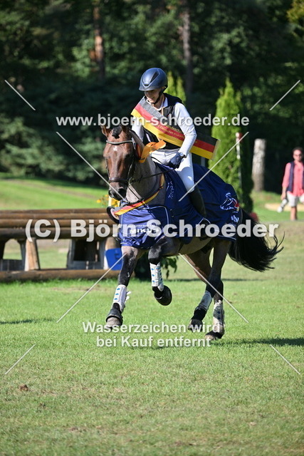 769_6056 | Björn Schroeder Pferdefotografie