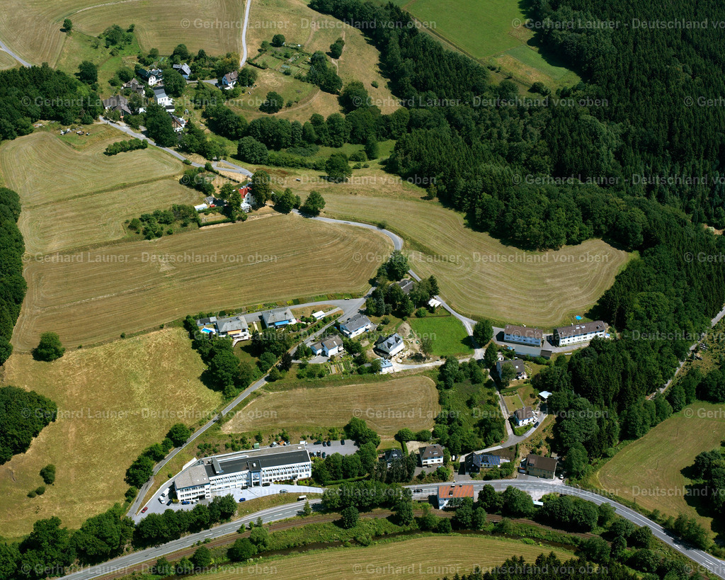 2632440 | Grünenbaum