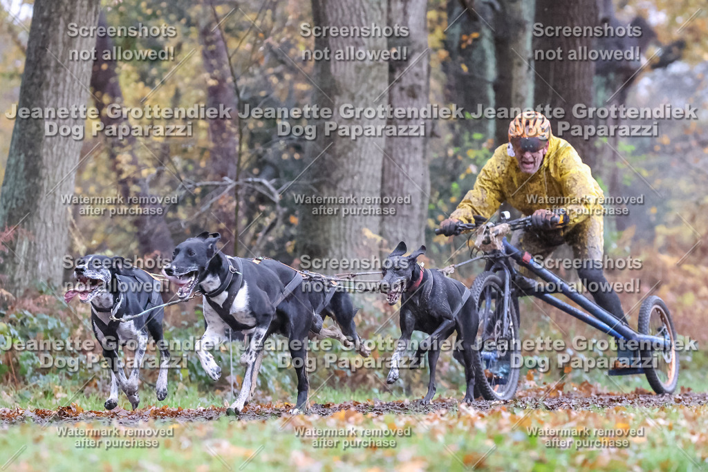 Dog Paparazzi - Ströhen 25-25 | Dog Paparazzi Jeanette Grottendiek Fotografie & Videografie - Realisiert mit Pictrs.com