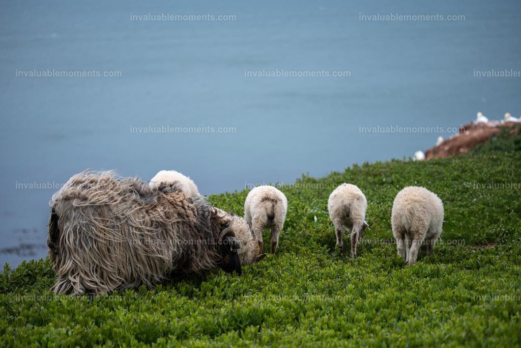 DSC_7345 | invaluablemoments.com - Realisiert mit Pictrs.com