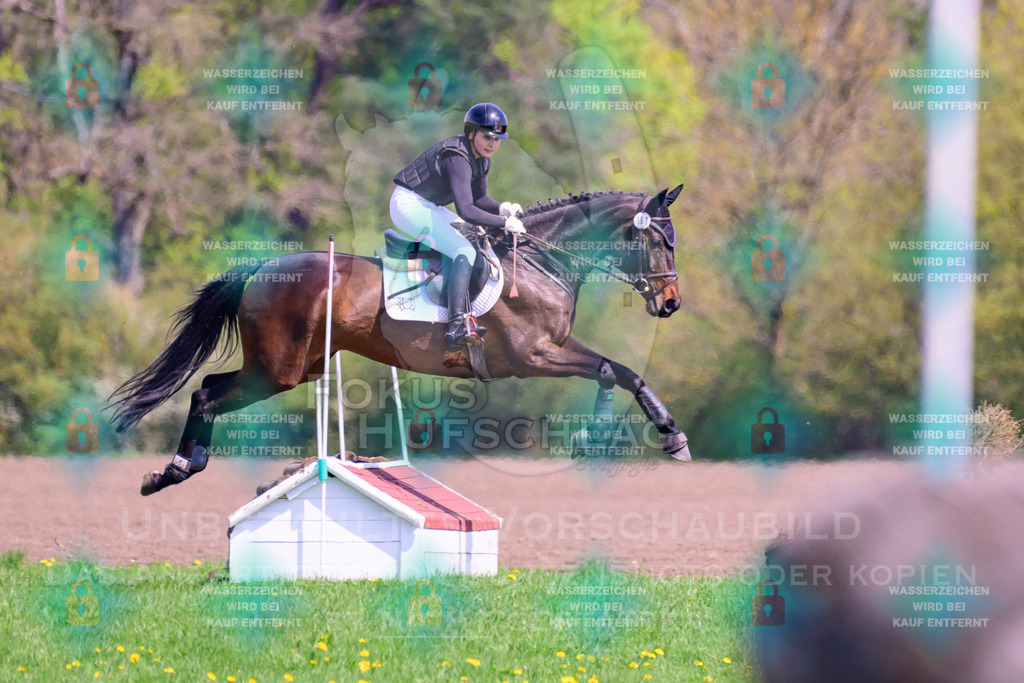 18042026-Gernlinden-01-1-0416 | Fokus Hufschlag Fotografie - Realisiert mit Pictrs.com