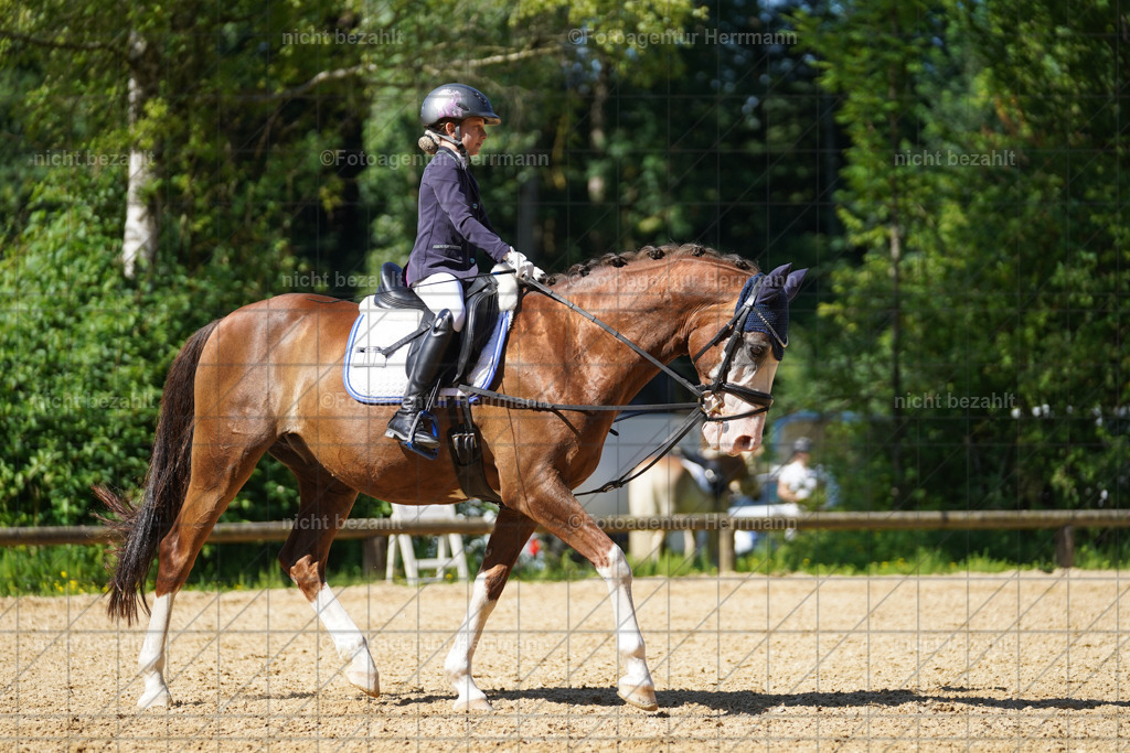 20240706-FAH04920 | Grafing Turnierfotos, Reitverein Ebersberg, Turnierfotografen Bayern, reitsportbilder, Pferdefotograf, reitsportfotograf, Sportbilder, Reitsportfotografie, Fotoagentur Herrmann, Turnierfotograf