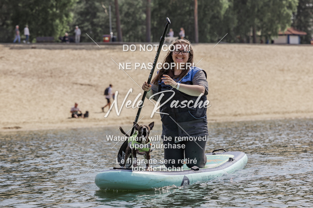 BUHU_SUP_536 | nelerasche