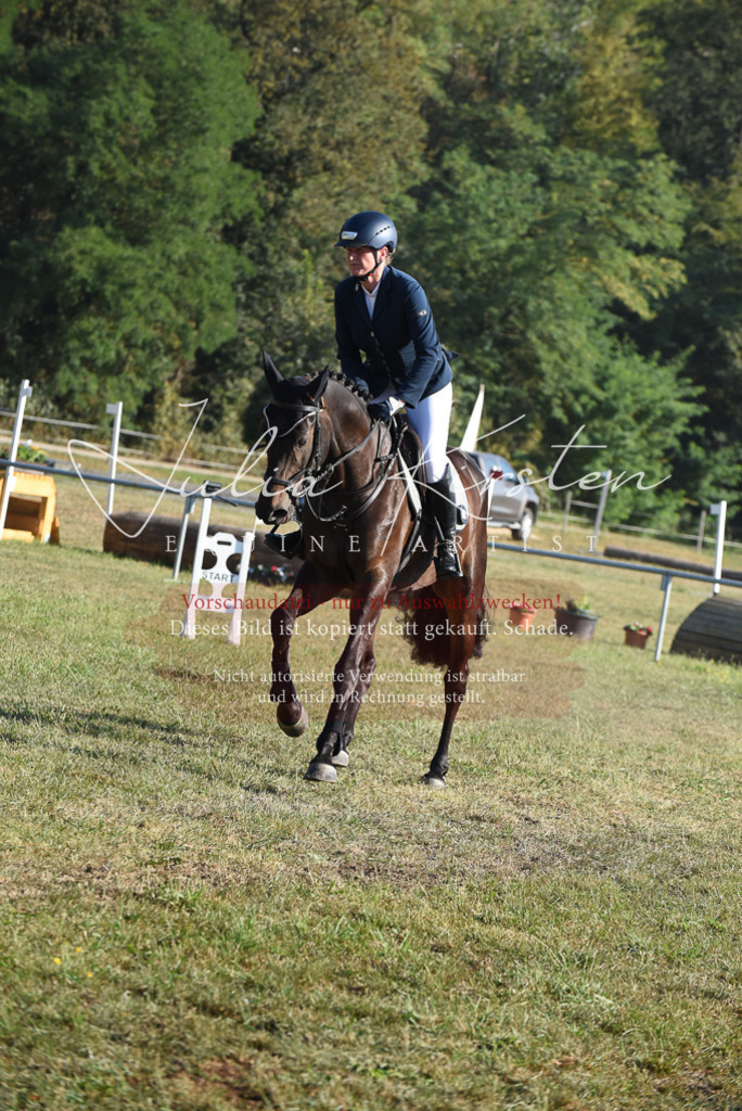 DSC_5181 | Pferde- und Turnierfotografie in Westsachsen. Pferdeportraits, Auftragszeichnungen und intuitive Kunst.