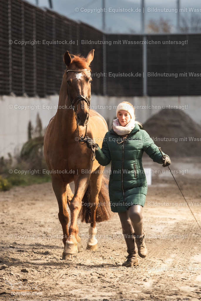 WEB_20241114_Vetcheck_TOMsPiC_0010 | Foto: Thomas Hartig
