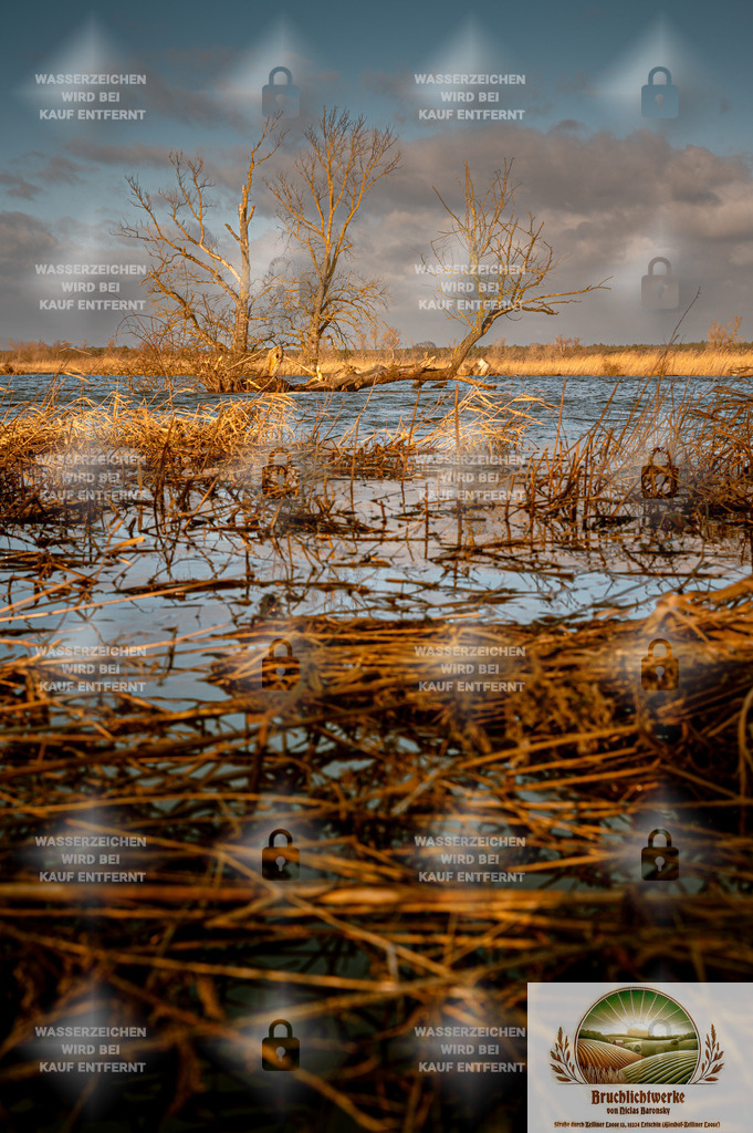 Odergold | Professioneller Fotograf mit 10 Jahren Erfahrung. Landschafts- und Hochzeitsfotografie im Oderbruch. Workshops und beeindruckende Bilder für besondere Momente.