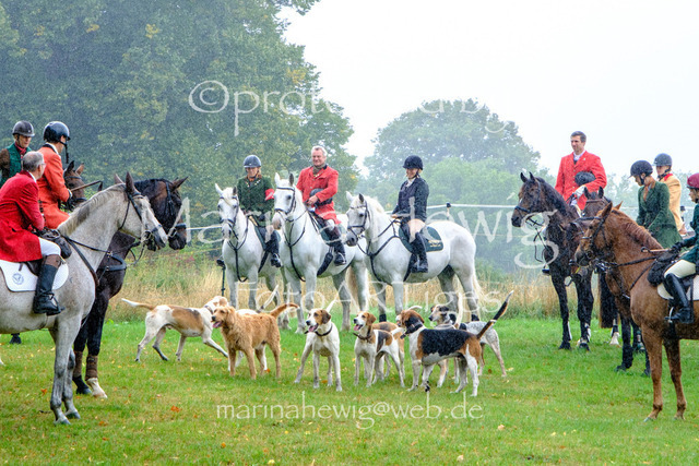 Jagd Kletkamp 26-9506_MarinaHewig | Fotografie, FotoArt, PferdesportArt, Pferdesportfotografie, Landschaftsfotografie, Reisefotografie, Reise, Pferde - Realisiert mit Pictrs.com